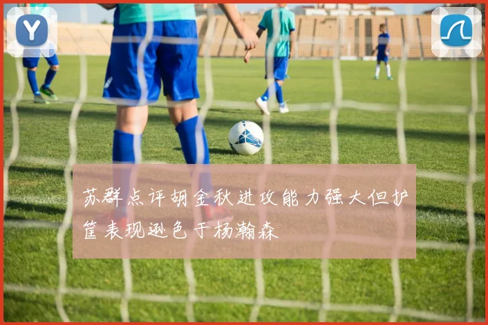 苏群点评胡金秋进攻能力强大但护筐表现逊色于杨瀚森