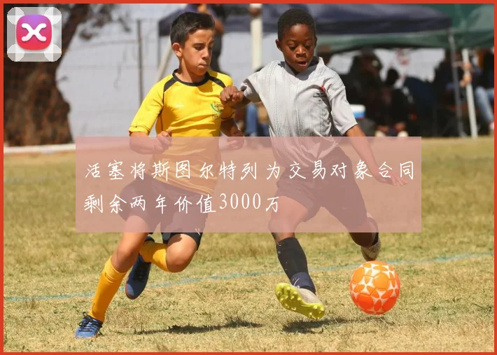 活塞将斯图尔特列为交易对象合同剩余两年价值3000万