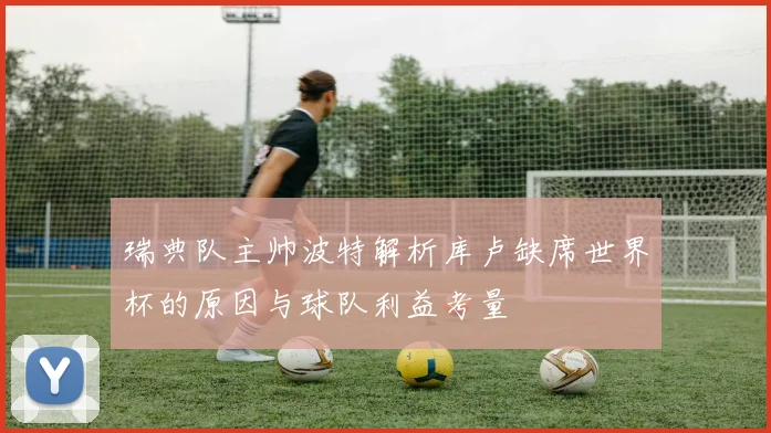 瑞典队主帅波特解析库卢缺席世界杯的原因与球队利益考量